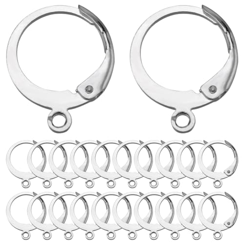 SUNNYCLUE 1 Box 80Pcs Huggie Hoops Round Leverback Earring Hooks Stainless Steel Lever Backs Silver Hinged Huggie Hoops with Loops Earwires Leverbacks Ear Wires for Jewelry Making Earrings Findings - color: 80pcs Stainless Steel Round Leverbacks-Silver To