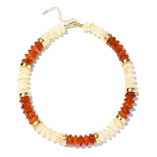 RISHEGAE Chunky Beaded Necklace for Women Boho Resin Beaded Choker Necklace Adjustable Surfer Beach Strand Necklaces Gold Handmade Acrylic Beads Jewelry Gift for Women - color: Style 1brown