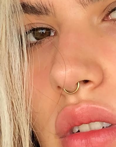 316L Stainless Steel Hoop Earrings, Hinged Segment Earrings Hoop, Cartilage Helix Conch Daith Septum Earrings Hoops - color: Gold, size: 1.2*5mm