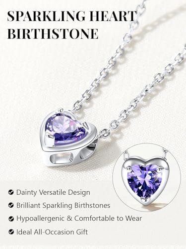 Silvora Heart/Round Birthstone Necklace for Women, Sparkling Crystal Pendant, Dainty Birth Month Jewelry, Adjustable 16"+2" Chain - color: Silver, style: February Heart