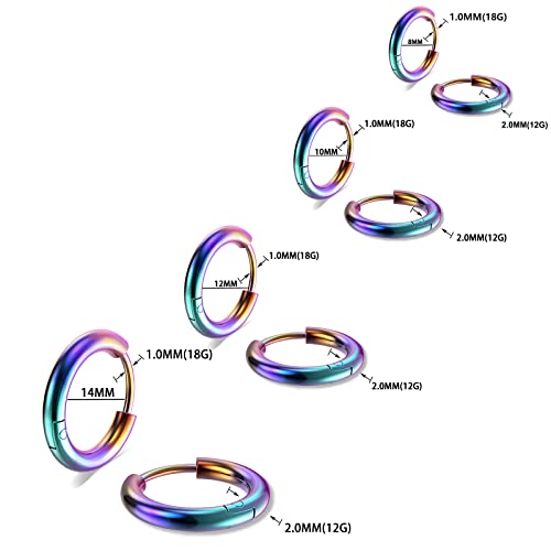 316L Surgical Stainless Steel Small Hoop Earrings 8mm 10mm 12mm 14mm Hypoallergenic Huggie Hoop Earrings Helix Lobes Hinged Sleeper Earrings Cartilage Piercings - color: H: Rainbow (Diameter 8mm/10mm/12mm/14mm),4 Pairs