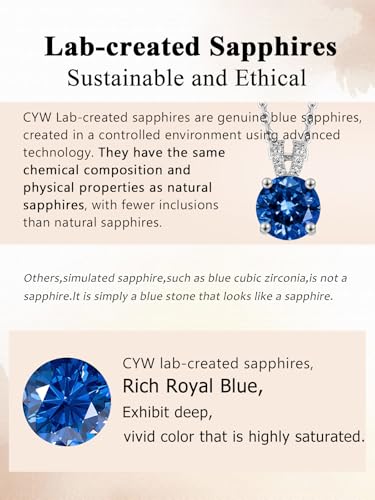 CYW Genuine Sapphire/Emerald/Ruby/Moissanite Necklace for Women, Really Authentic Solid 925 Sterling Silver, 16"/18"/20" Adjustable Chain, Anniversary Mother's Day Valentines Gift - color: Sapphire - Round - White Gold, size: 8mm