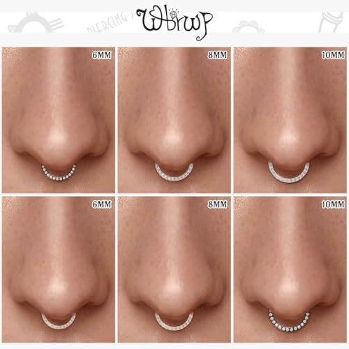 WBRWP 316L Stainless Steel Nose Hoop Rings Clicker with Zircon/Opal 14g-20g | Hypoallergenic Nose Rings Segment Clicker Lip Rings Cartilage Rook Conch Earrings Diameter 5mm-10mm - color: Flat Rose Gold ring with zircon -1pc Pack