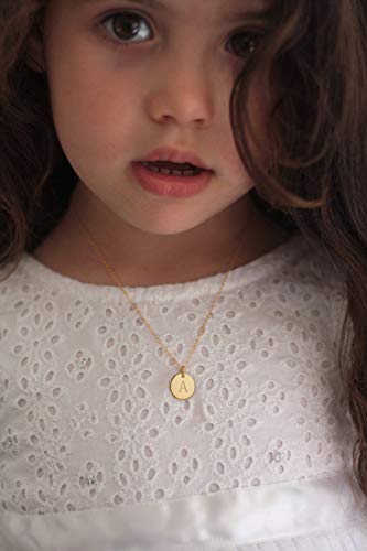 Valloey Rover Initial Necklaces for Women 14K Gold Plated Dainty Letter Necklce Round Coin Disc Pendant Double Side Engraved A-Z Necklace Personalized Jewelry Gift for Women - color: N