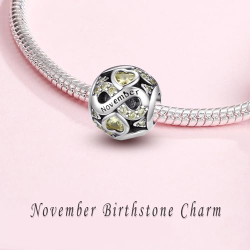 HappyStar 925 Sterling Silver Birthstone Charms fits Charms Bracelets for Woman，with 5A Cubic Zirconia Dangle Pendant Bead,Happy Birthday Charms for Bracelet and Necklace - color: D2 Infinity Symbol November Birthstones