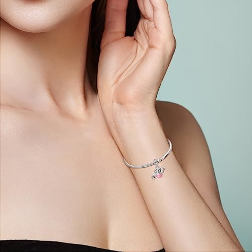 Hapour 925 Sterling Silver Charms for Bracelet Necklace Dangle Pendant Bead | Whale Shark Charm, Glow in the Dark, Matryoshka Russian Doll Baking European Jewelry Charm, 14k Gold Plated - style: Cake Baking