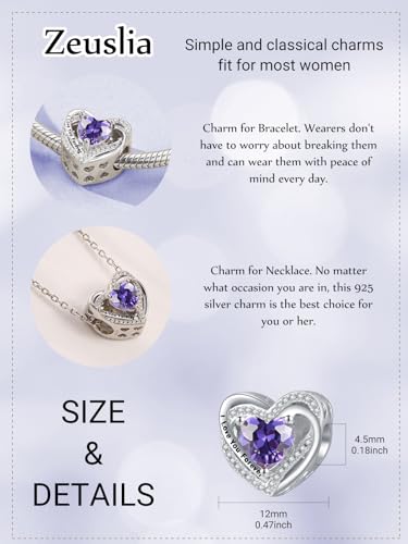 Heart Birthstone Charms for Bracelets, 925 Sterling Silver Women Bead Charms for Charm Bracelets Necklace, Mother's Day Birthday Anniversary Jewelry Gifts for Wife Mom Grandma Daughter - style: Bead - Feb - Amethyst