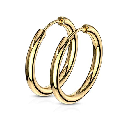 316L Stainless Steel 2.5mm Thick Round Hinged Hoop Earrings, Sold as a Pair - color: Gold Tone, size: 14mm Diameter