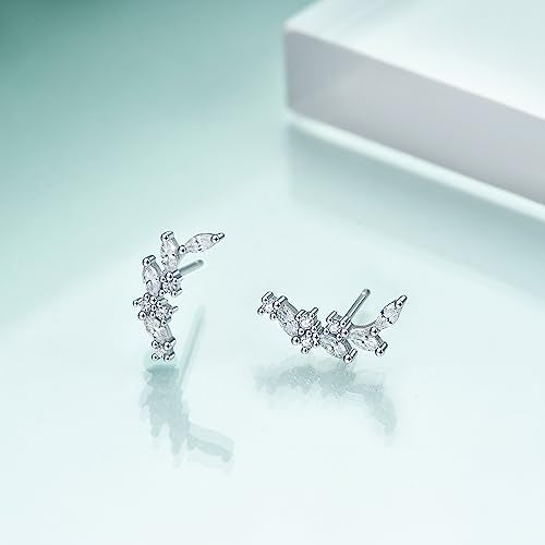 Rnivida 925 Sterling Silver Dainty Cz Climber Stud Earrings, Hypoallergenic Small Cubic Zirconia Ear Crawler Earring for Women - color: Cz Leaf - Silver