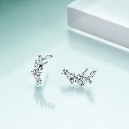 Rnivida 925 Sterling Silver Dainty Cz Climber Stud Earrings, Hypoallergenic Small Cubic Zirconia Ear Crawler Earring for Women - color: Cz Leaf - Silver