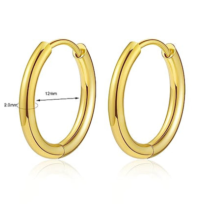 Titanium Huggie Hoop Earrings Hypoallergenic Nickel Free Hinged Sleeper Earrings for Sensitive Skin Cartilage Helix Lobes - style: gold 12mm
