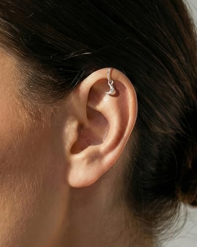 COCHARM Clicker Rook Earring-Star 16G Moon & Square Helix Rarrings,316L Stainless Steel Helix Daith piercing Jewelry 6/8MM - color: Moon-6MM