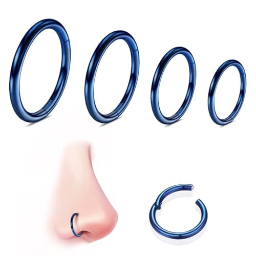 WBRWP 316L Stainless Steel Nose Rings Hoop for Women Men Hypoallergenic | 20G 18G 16G 14G Conch Piercing Jewelry Segment Clicker Lip Rings Helix Cartilage Rook Earrings Diameter 6mm 8mm 10mm 12mm - color: 4pc set in blue color(each dia. 1 pc)