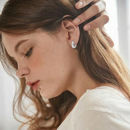 925 Sterling Silver Hollow Hoop Earrings for Women, Simple and Retro Style, Jewelry Gifts for Valentine's Day, Mother's Day, And Birthdays - style: Style 2