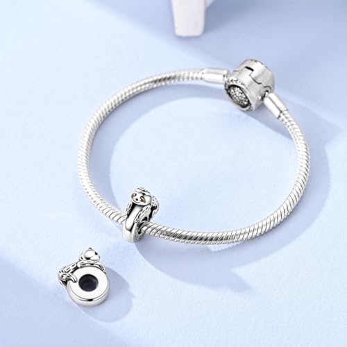 2pcs Stopper Spacer Beads for Pandora Bracelets, Sterling Silver Cross Ladybug Clip Spacer Charms For Bracelet DIY Jewelry Gift - color: Sloth