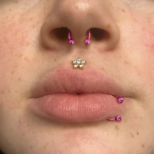 BodyBonita Anodized G23 Titanium Horseshoe Nose Ring Hoops for Women, 16G Septum Rings Circular Barbell, Conch Helix Daith Tragus Cartilage Lip Eyebrow Piercing Jewelry 8/10mm 2Pcs - color: Pink, Hand-Anodized