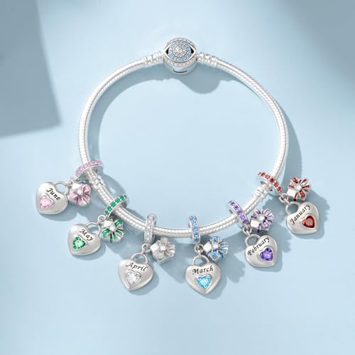 LNQOBU 925 Sterling Silve Heart-shaped Birthstone Charm for Bracelets, With 5A Cubic Zirconia Birthday Charms Dangle Pendant Bead for Pandora Bracelets - color: B-February