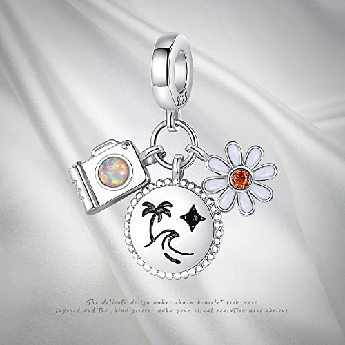 Pandach 925 Sterling Silver Charms Beads for Bracelets and Necklaces Butterfly and Headphones Pendants Clover Charms Jewelry Gift for Women - style: Travel Camera Flowers Charm