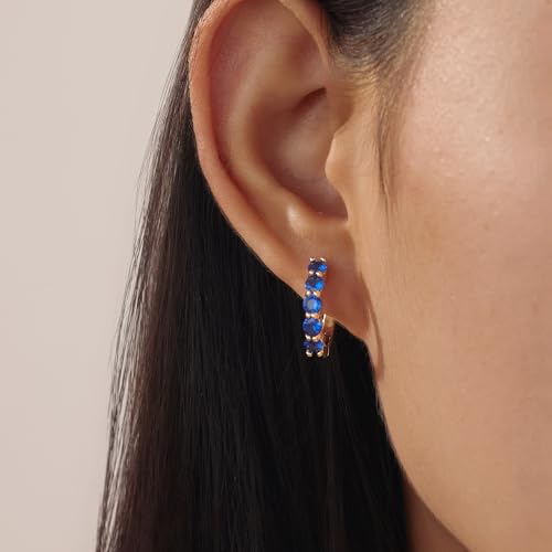 Evabelle Gold Hoop Earrings for Women 14K Real Gold Plated Cubic Zirconia Diamond Hoop Earrings Huggie Hoop Earring Women Earrings Earring for Men 925 Sterling Silver Post Hypoallergenic - color: Hoops 11-Gold and Blue