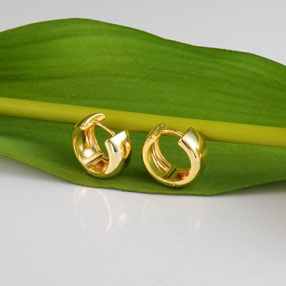 Chunky Hoop Earrings for Women Small Huggie Hoops Earrings Fashion Jewelry | 14k Gold Plated Hypoallergenic Thick Gold Silver Hoop Earrings Trendy Jewelry Gift Box, Daily Wear - color: Gold