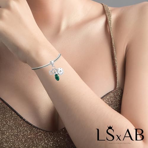 Women Charm for Bracelets Love Heart Dangle Silver Clear CZ Beads Birthstone Bracelet Charms for Daughter Women Wife, Blue Pink Clear - style: MAY