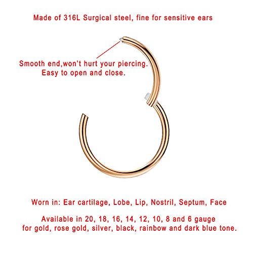 316L Surgical Steel Hypoallergenic Hinged Nose Ring Hoop for Women & Men | Seamless Clasp, Used in Nostril, septum, lip, and all ear piercings. 20 Gauge to 6 Gauge, Inner Diameter 5mm to 22mm - color: 18k rose gold-plated, size: 12 Gauge 10mm
