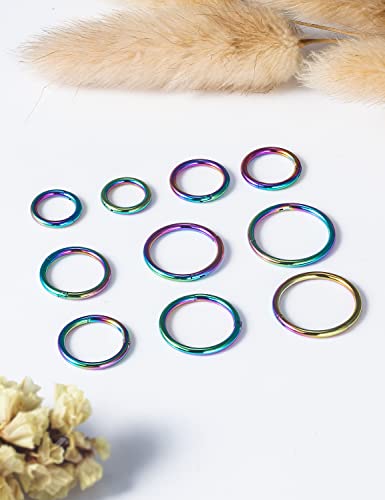 Vsnnsns 14G 16G Septum Nose Rings Hoops Lip Ring Piercing Jewelry 316L Surgical Steel Hinged Segment Clicker Cartilage Tragus Helix Conch Rook Daith Lobe Earrings Hoops Piercing Jewelry for Women Men - color: 14G-Rainbow