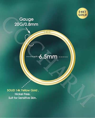14K Solid Gold Nose Rings, Yellow Gold, 18g/16g/20g | For Women Man, Real Gold, 14Kt, Tiny Seamless Hoop, Nose Piercing, Cartilage Earring, Hypoallergenic - color: HoopA, size: 20g-6.5mm