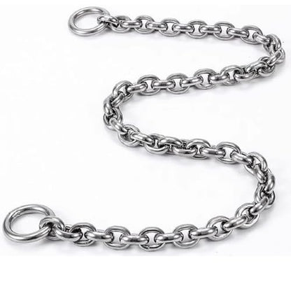 Dog Choker Collar Slip Chain,Stainless Steel Collar for Small and Medium Dogs,Puppy Dog Training Metal Necklace,Silver Hardware (4.0mm,18inch) - size: (4.0mm,18inch)
