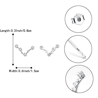 925 Sterling Silver CZ Horoscope Zodiac 12 Constellation Astrology Ear Crawler Post Earrings Gift for Mom Women Mothers Day/Valentines Day/Birthday/Christmas/Anniversary - style: Pisces (Feb 19 - Mar 20)