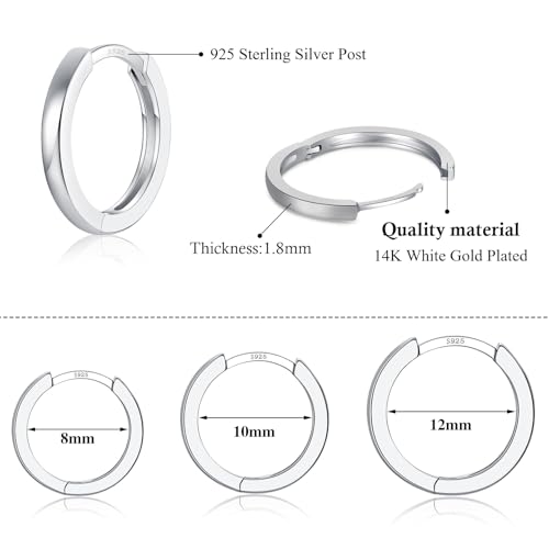 3 Pairs 925 Sterling Silver Small Huggie Hoop Earrings for Women Men | 14K White Gold Plated, Hypoallergenic, Small Silver Hoops - color: A-Silver 8/10/12mm