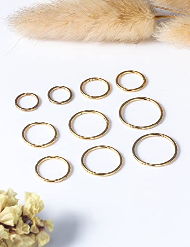 Vsnnsns 14G 16G Septum Nose Rings Hoops Lip Ring Piercing Jewelry 316L Surgical Steel Hinged Segment Clicker Cartilage Tragus Helix Conch Rook Daith Lobe Earrings Hoops Piercing Jewelry for Women Men - color: 16G-Gold