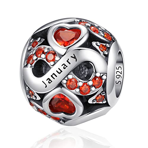 HappyStar 925 Sterling Silver Birthstone Charms fits Charms Bracelets for Woman，with 5A Cubic Zirconia Dangle Pendant Bead,Happy Birthday Charms for Bracelet and Necklace - color: C1 Infinity Symbol January Birthstones