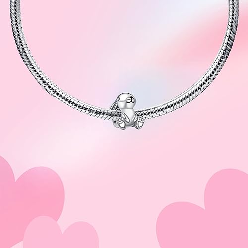 Bible Family Mom Wife Love Heart Dangle Charm 925 Sterling Silver Charms fits Bracelets and Necklace Pendant Bead Charms Jewelry Present for Women Family Friends - style: Cute Rabbit Charm