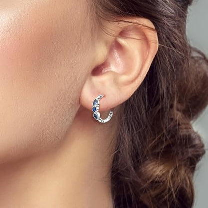 Parmuz 925 Sterling Silver Butterfly Huggies Hoop Earrings for Woman | Gold Plated Cubic Zirconia Star Moon cross Twisted huggie Hoop Post Chunky Small Tiny cuff Snake Heart Earring Gift for Her - color: blue silver