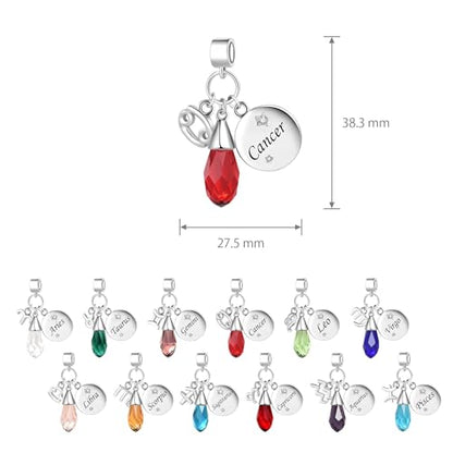 LSxAB Birthday Birthstone Zodiac Sign Charm Compatible with Pandora Charms Bracelets for Women - style: 03 Pisces