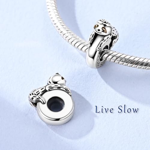 2pcs Stopper Spacer Beads for Pandora Bracelets, Sterling Silver Cross Ladybug Clip Spacer Charms For Bracelet DIY Jewelry Gift - color: Sloth