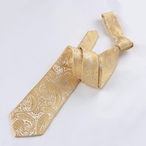 Alizeal Mens Gradient Paisley Necktie and Pocket Square Set | Elegant Design Perfect for Weddings Banquets Business Formal Events - color: 170-champagne