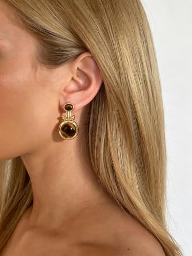 Dr's gift Chunky Leopard Print Earrings for Women 14K Gold Plated Statement Huggie Hoop Earrings Brown Acrylic Tortoise Resin Cheetah Trendy Jewelry - color: tiger tye