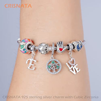 26 Letter Pendant Charms, Polished 925 Sterling Silver Complete Initial A-Z Dangling CZ Stone Alphabet Beads, fits European Bracelet Necklace, Gift for Mother/Father/Daughter/Son/Sister/Aunt - color: Letter E CZ Pendant Charm