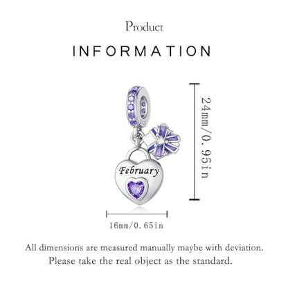 925 Sterling Silver Birthstone Bracelet Charm - Unique Heart Shaped Design, Fits most Europe Pandora Bracelets and Necklaces, women's DIY holiday Gifts - style: B-February