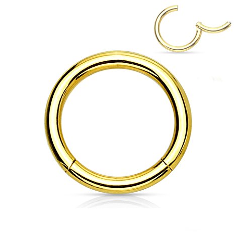 Forbidden Body Jewelry 316L Surgical Steel Hinged Seamless Nose Rings Hoop 14G 16G 18G, Diameter 6mm 8mm 10mm 12mm, Gold/Rose Gold/Silver/Black/Rainbow Colors. - style: 14g 8mm - Gold