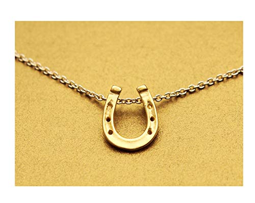Baydurcan Friendship Anchor Compass Necklace Good Luck Elephant Pendant Chain Necklace with Message Card Gift Card - style: Horseshoe