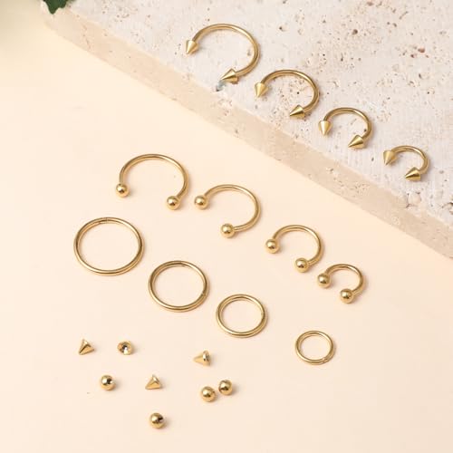 SynHHergyx 16G Gold Septum Rings Hinged Clicker Segment Gold Septum Jewelry Horseshoe Nose Ring Stainless Steel Nose Horseshoe Hoop Earring Eyebrow Lip Helix Tragus Piercing Ring 12 Pcs