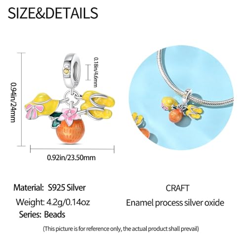 Pandach 925 Sterling Silver Charms for Bracelets and Necklaces Travel Round The World Beads Charms Relaxation Dangle Pendant,Jewelry Beads Gifts for Women - style: Beach Holiday Charms