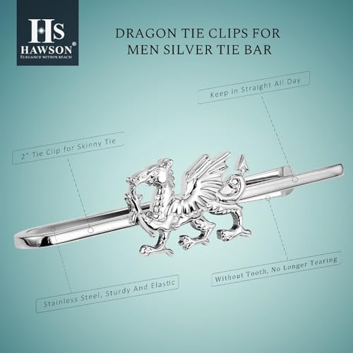 HAWSON Various Tie Clips for Men Unique, Funny Novelty Mens Tie Bar, Personalized Tie Pins for Men, Theme Wedding Party Gifts - style: Welsh Dragon