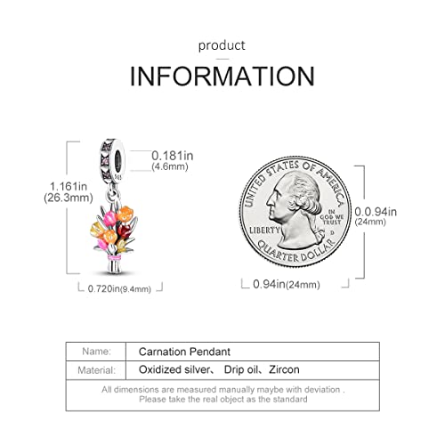 MULA 925 Sterling Silver Charms for Bracelets and Necklace Family Pendants | Airplane Travel Dangle Beads Family Tree Jewelry Charms for Women - color: Carnation Charm