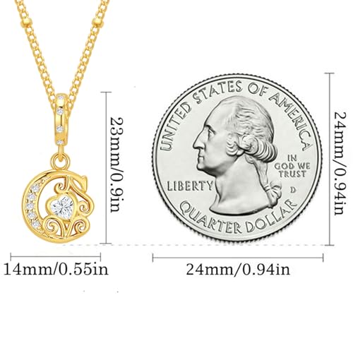 TIZU Initial Necklaces for Women - Dainty 14K Gold Plated Letter Pendant Trendy Personalized Initial A-Z Necklaces Jewelry Gift - color: Gold-C