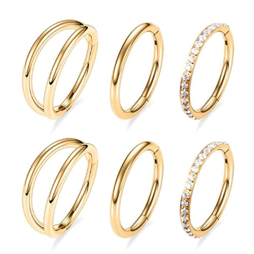 14G 16G 18G Surgical Steel Nose Septum Rings Hoops - Stainless Steel Segment Nose Rings Hoop Helix Cartilage Clicker Daith Tragus Sleeper Hoop Earrings for Women Men 6mm 8mm 10mm 12mm - color: Gold Plated 6PCS, size: 16g 6mm