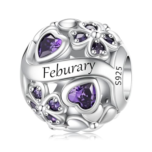 LNQOBU 925 Sterling Silve Lucky Birthstone Charm for Bracelets, With 5A Cubic Zirconia Birthday Charms Dangle Pendant Bead for Pandora Bracelets and Necklaces - color: B1-February
